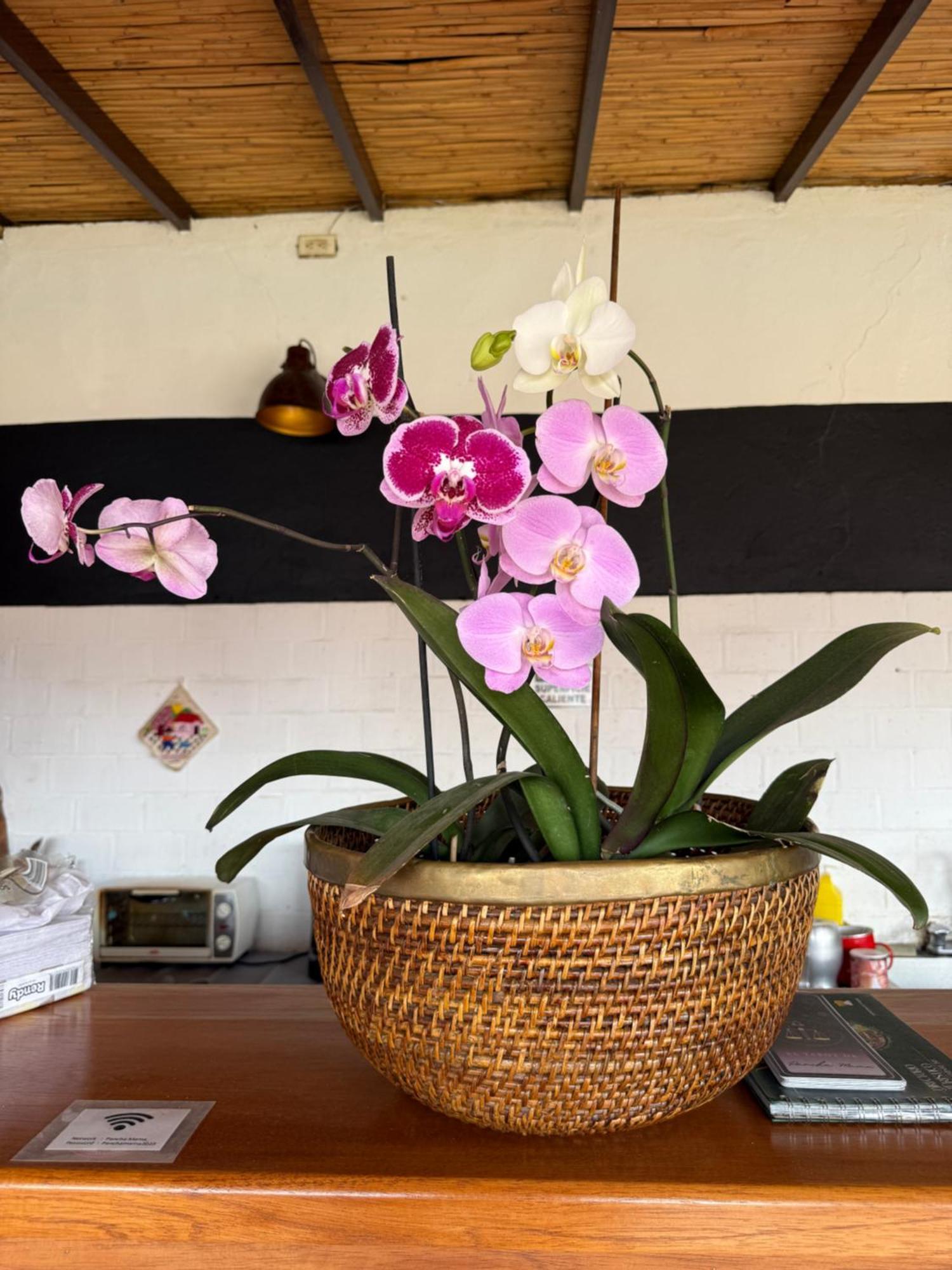 Pancha Mama Hotel Boutique Villa de Leyva Exterior foto